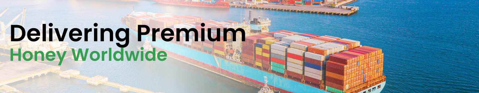 Premium honey and bee products available for bulk supply and export.