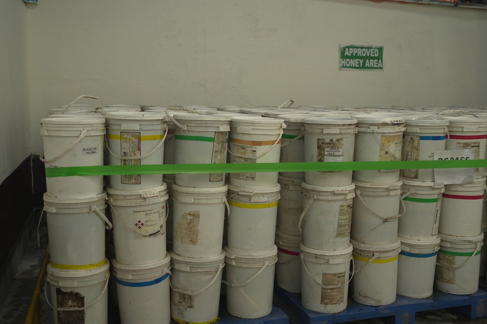 Alpixo honey processing unit image 2