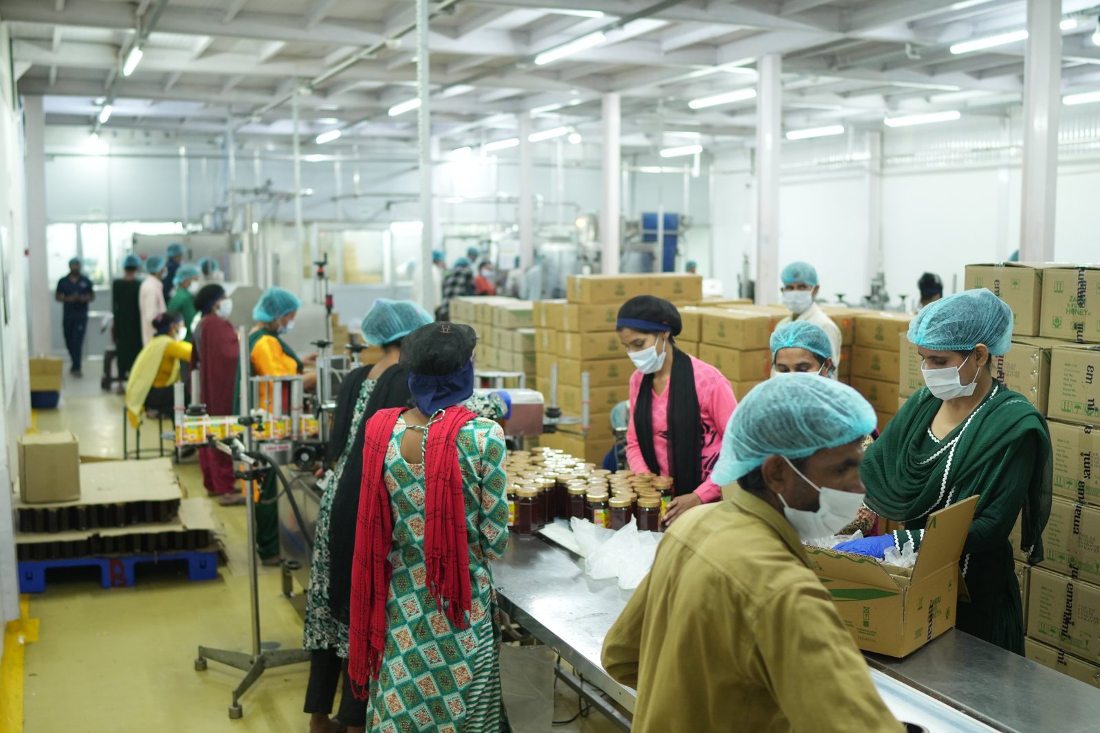 Alpixo honey processing unit image 11