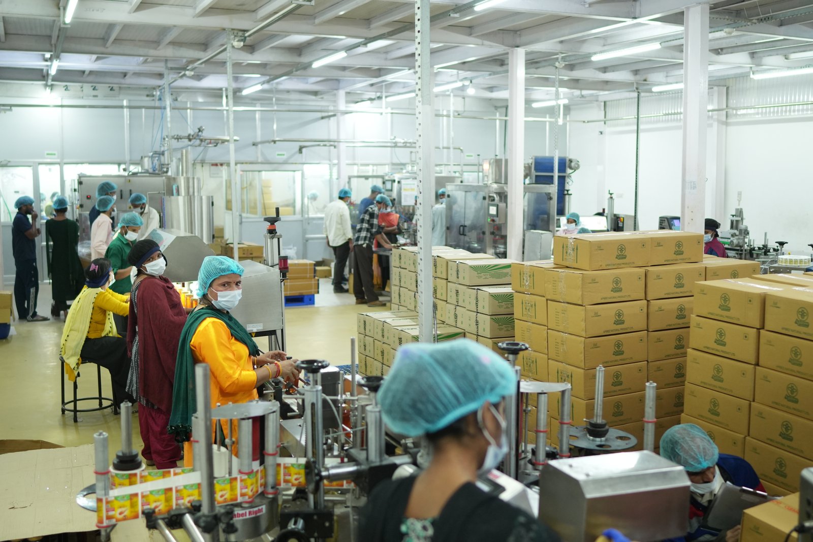 Alpixo honey processing unit image 15