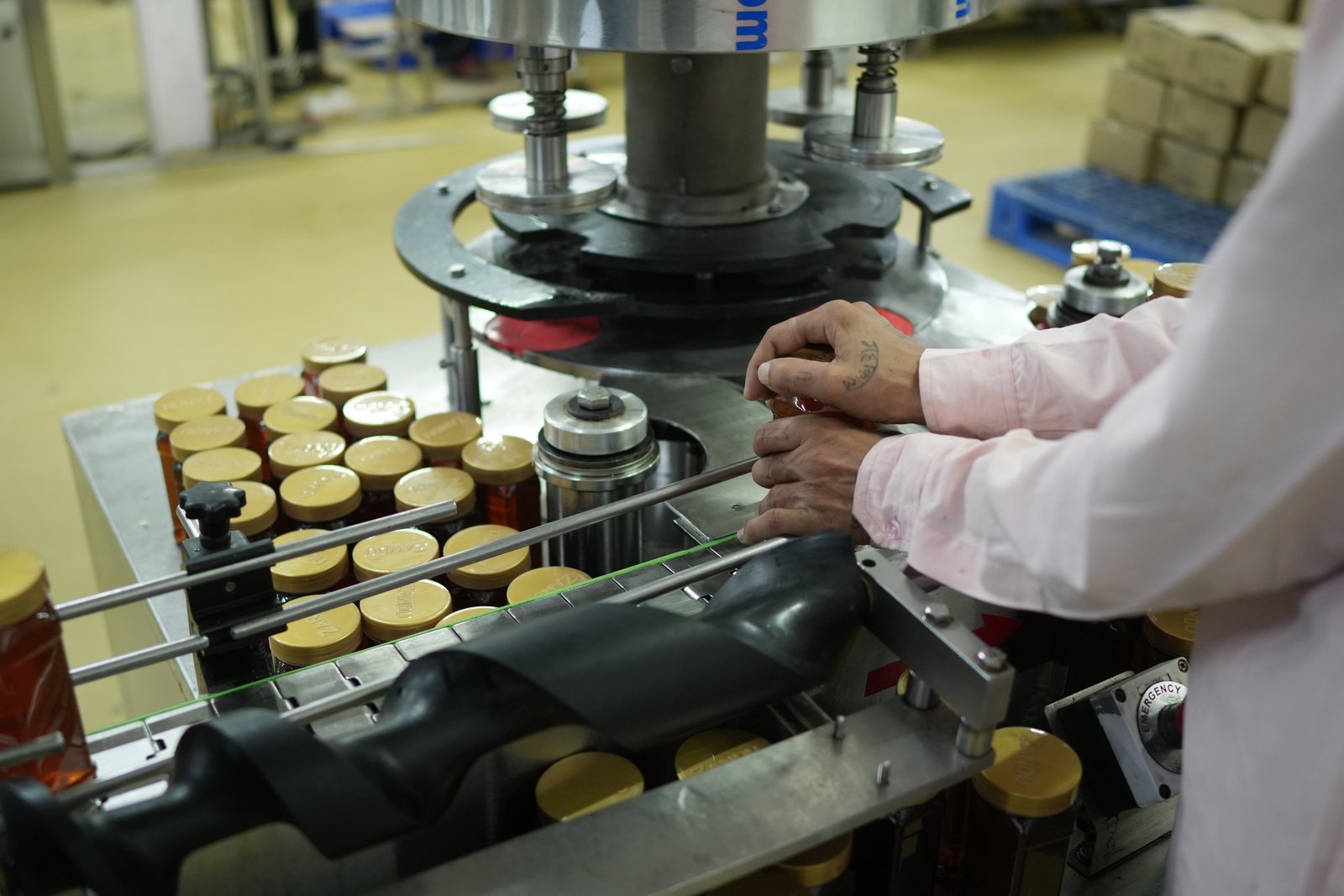 Alpixo honey processing unit image 26