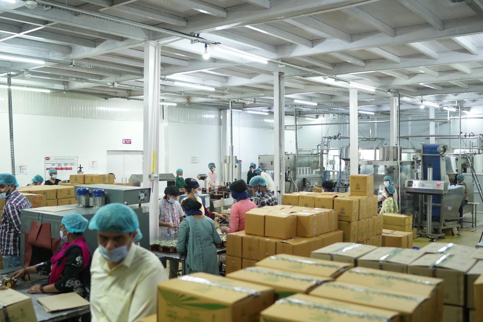 Alpixo honey processing unit image 36