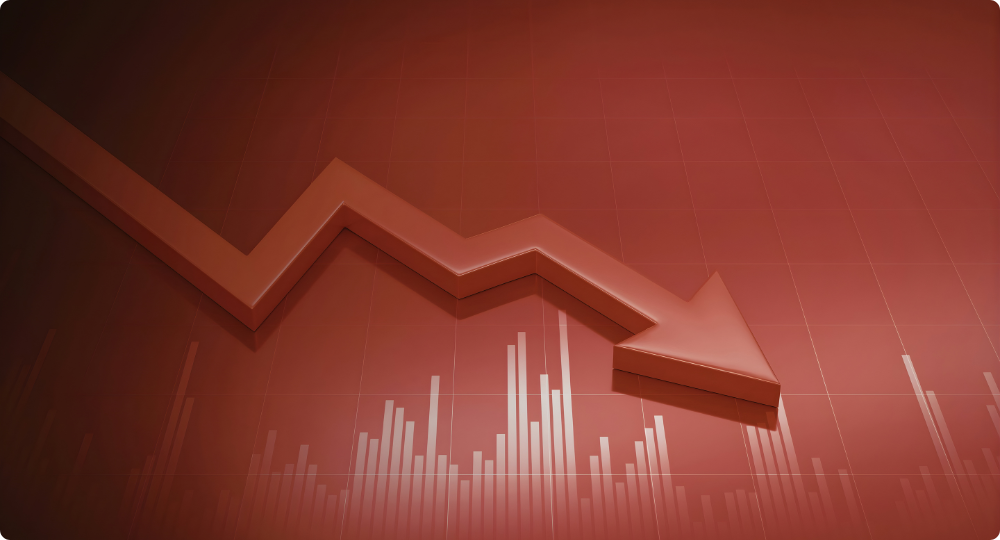 Premium honey and bee products available for bulk supply and export.